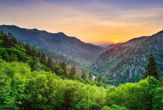 Top 10 Must-Visit Attractions in Gatlinburg